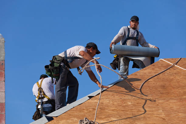 Best Tile Roofing Contractor  in Mount Olive, NC