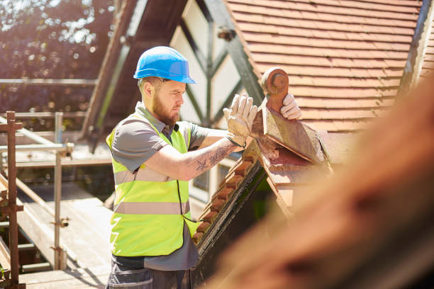 Best Roof Replacement Cost  in Mount Olive, NC