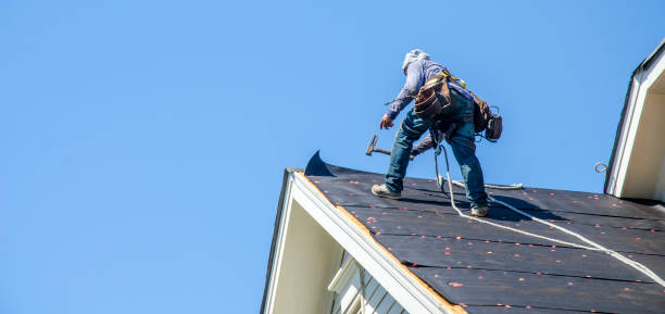 Best Residential Roofing Contractor  in Mount Olive, NC